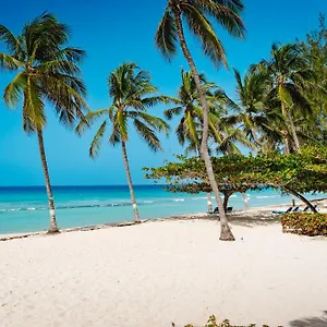 Coconut Court 3*, Крайст-Черч Барбадос